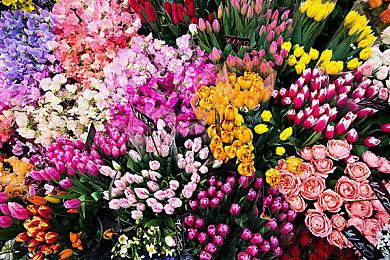 《我的三体：2277》实机PV首曝 2024年上半年上线