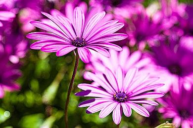 美少女战士归来《梦幻战士合集第2弹》9月发售