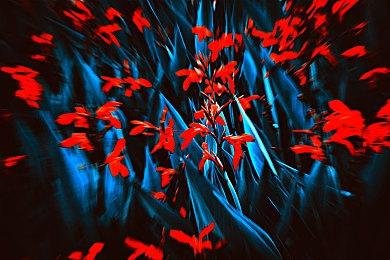 《宝可梦：大集结》发售预告 7月21日登陆Switch 